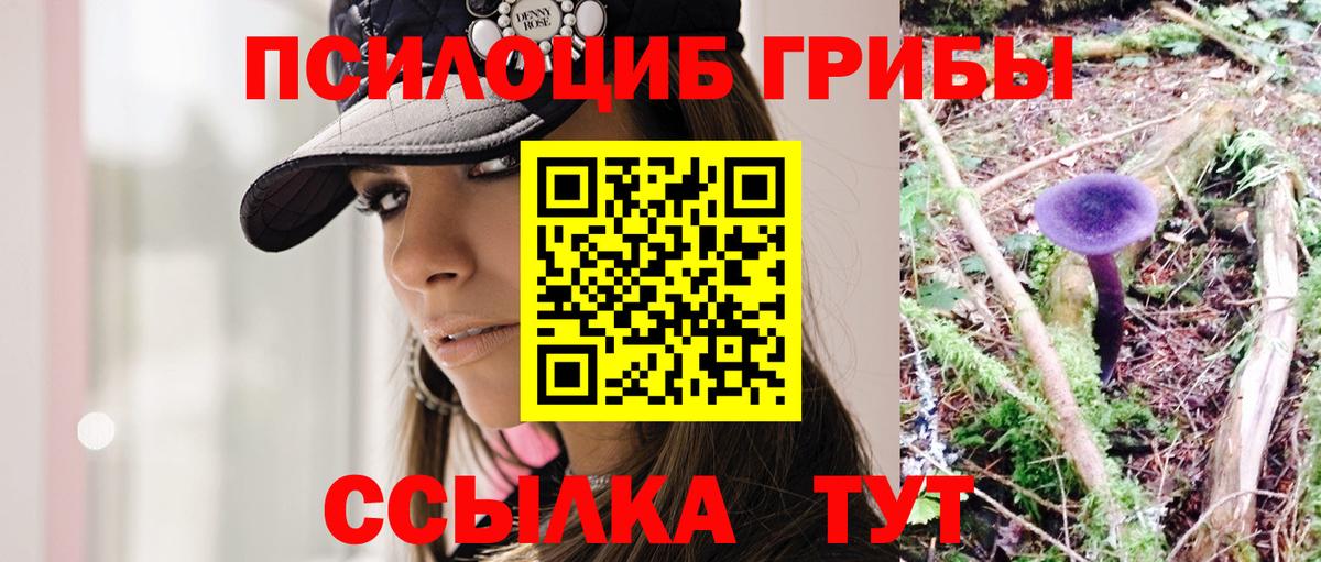 Галлюциногенные грибы Psilocybine cubensis Ликино-Дулёво