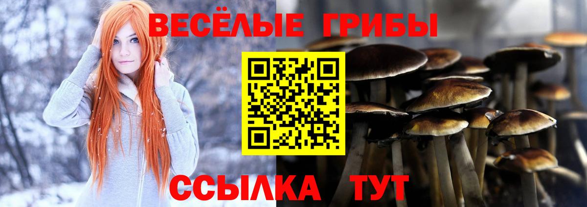 Ликино-Дулёво  Псилоцибиновые грибы Psilocybe  Вход с VPN 